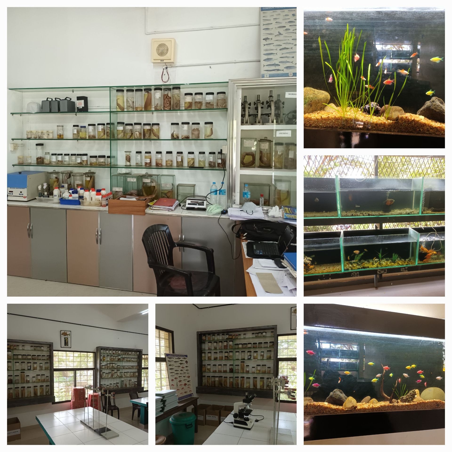 Aquaculture